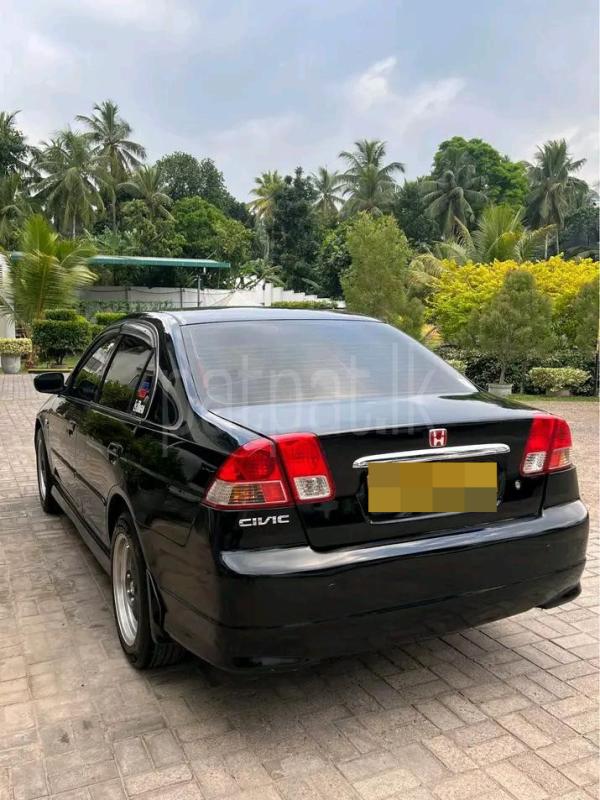 Advertisement image 4