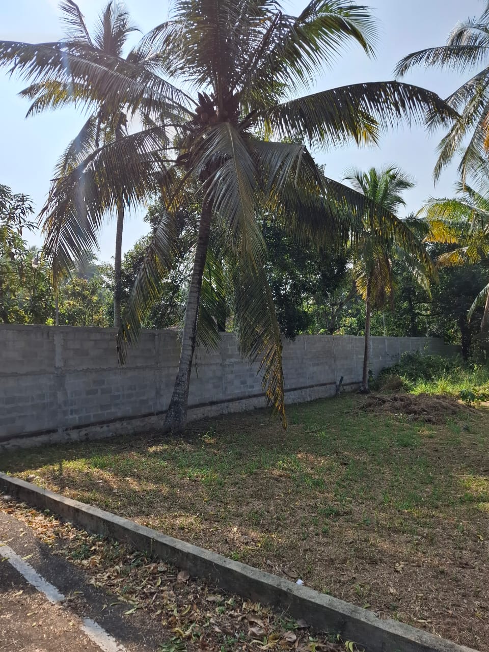 Residential Land for Sale in Seeduwa