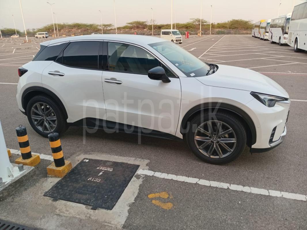 Advertisement image 6