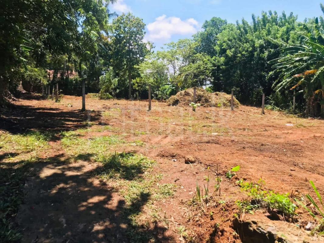 Commercial Land for Sale in Panadura