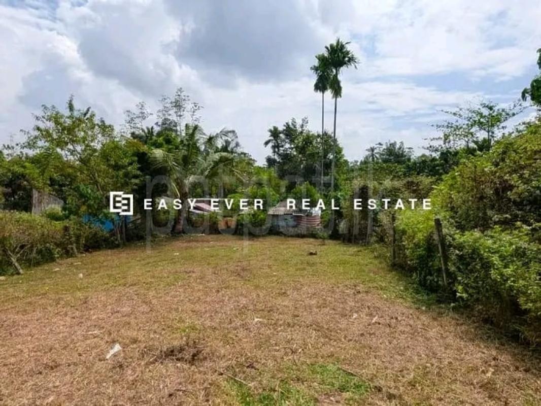 Commercial Land for Sale in Homagama ads-image-1