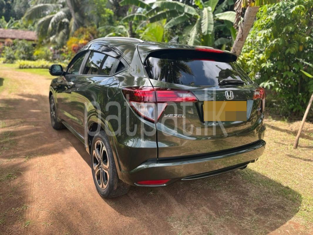 Advertisement image 4