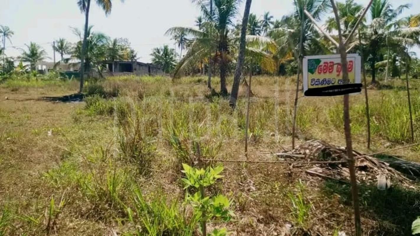 Commercial Land for Sale in Pannala ads-image-1
