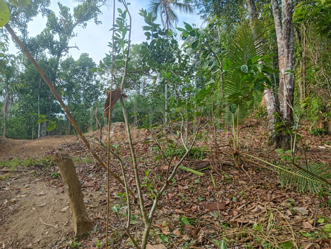 Residential Land for Sale in Hakmana