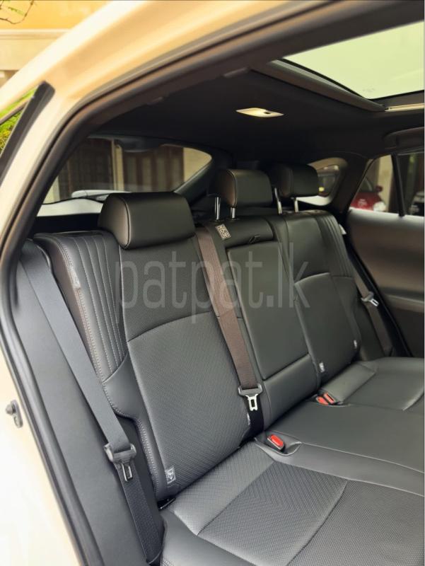 Advertisement image 6