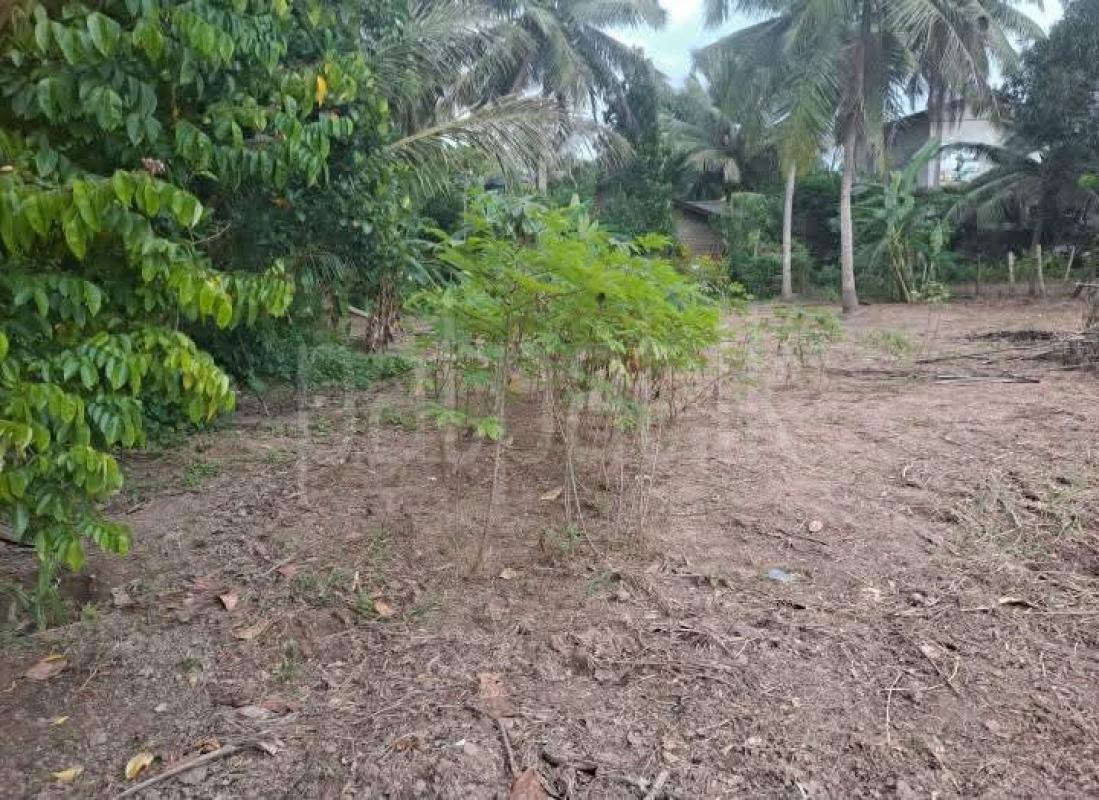 Residential Land for Sale in Divulapitiya ads-image-1