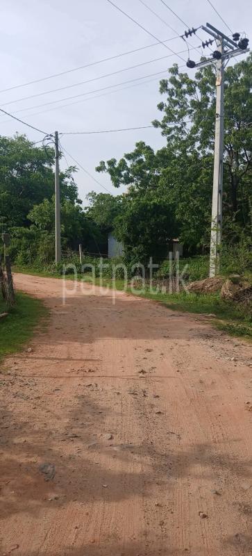 Residential Land for Sale in Kataragama
