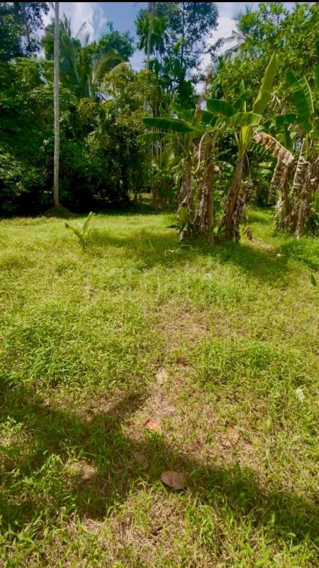 Residential Land for Sale in Piliyandala