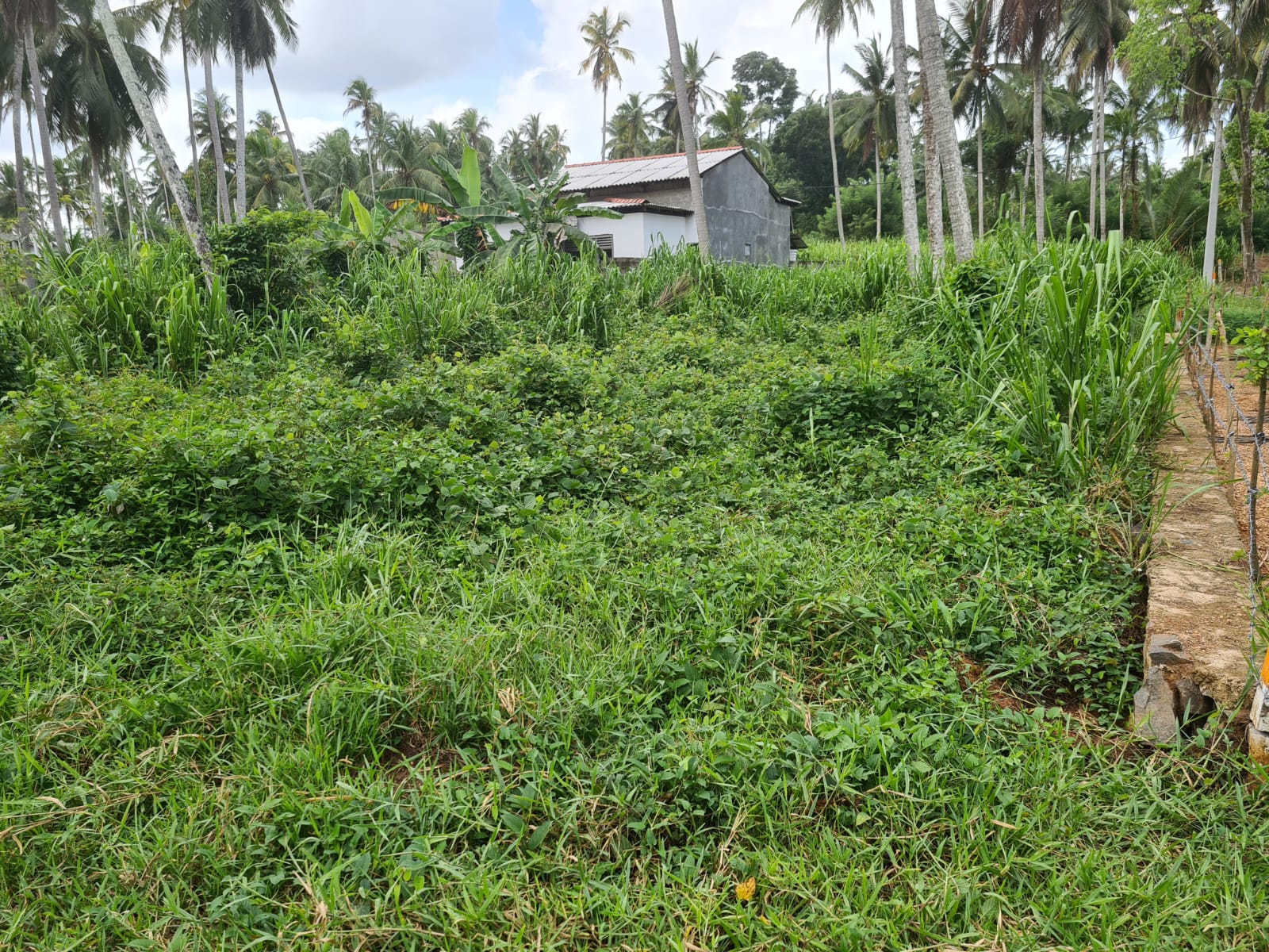 Residential Land for Sale in Mirigama ads-image-1