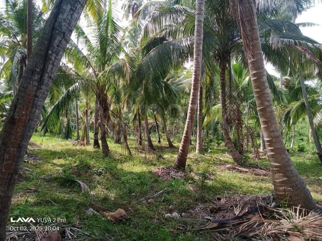 Agricultural Land for Sale in Kurunegala ads-image-1