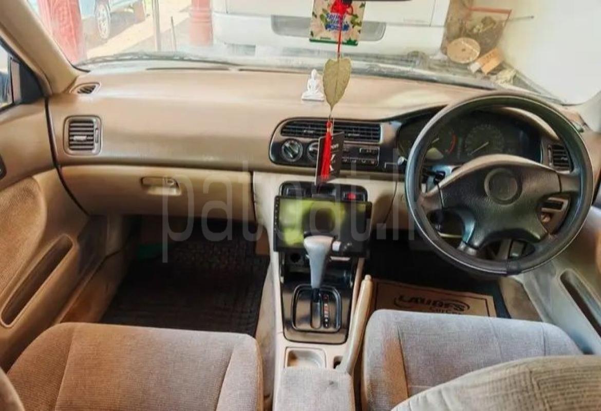 Advertisement image 4