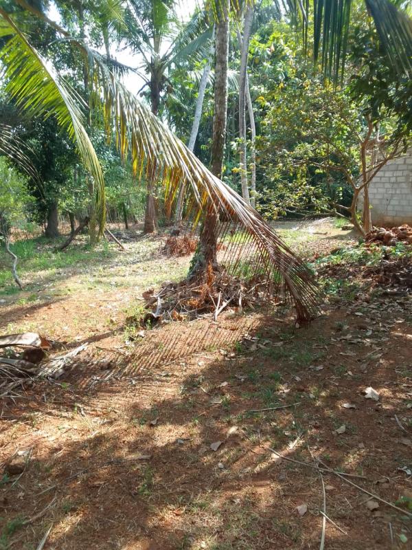 Residential Land for Sale in Minuwangoda ads-image-1