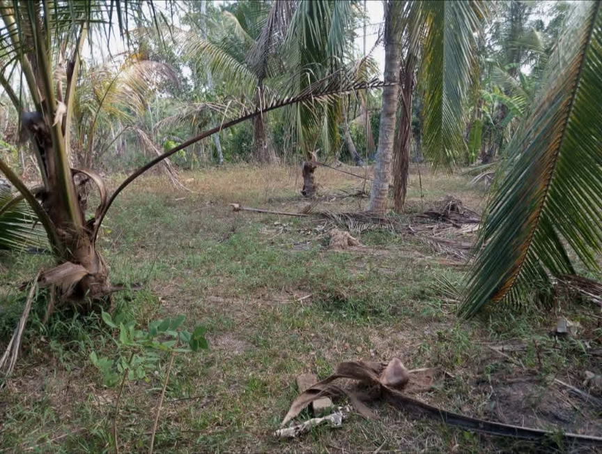 Commercial Land for Sale in Divulapitiya