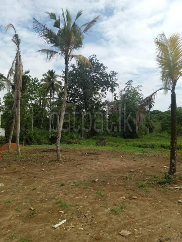 Commercial Land for Sale in Athurugiriya