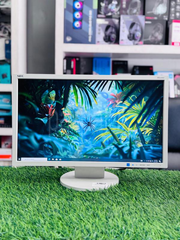 NEC MultiSync EA223WM 22” Professional Monitor