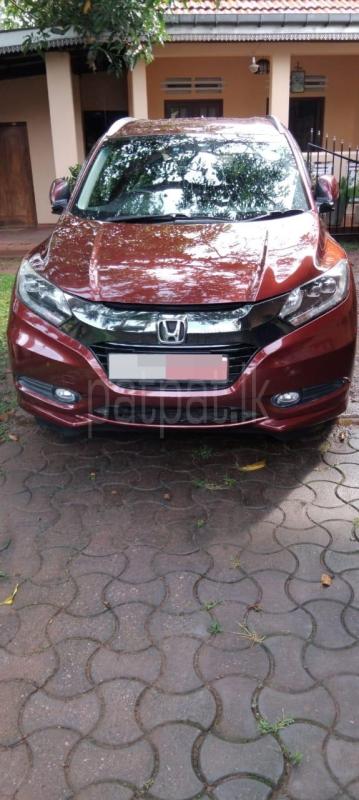 Advertisement image 3