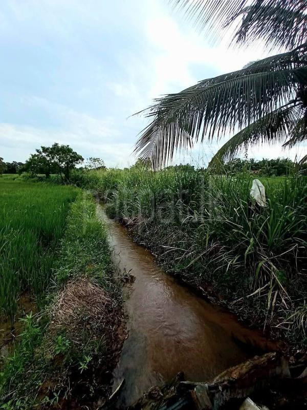 Agricultural Land for Sale in Sella Kataragama