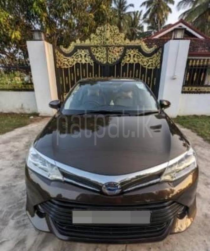 Advertisement image 2