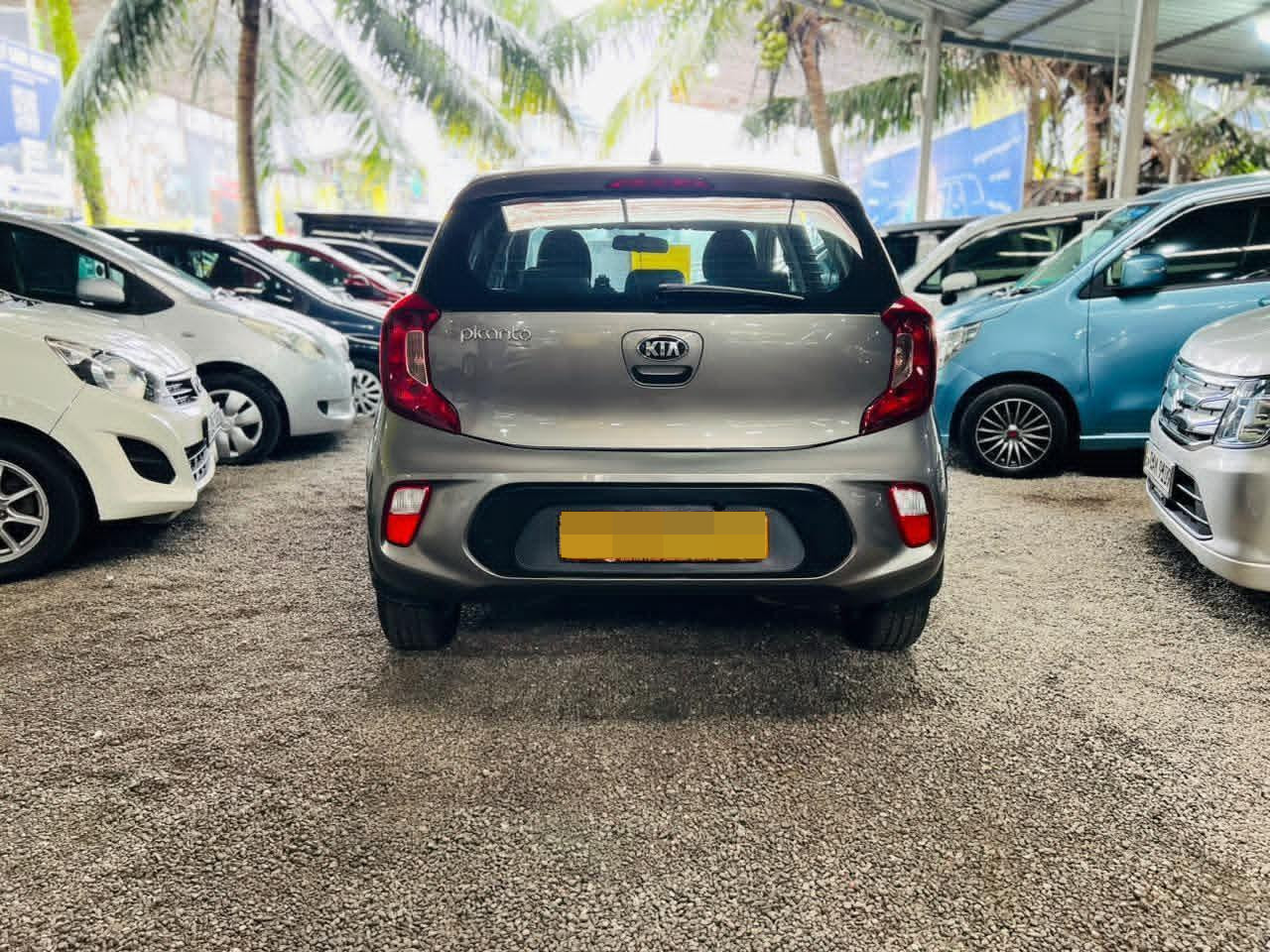 KIA Picanto 2017 - பயன்படுத்தப்பட்டது கார் sale in Sri Lanka - patpat.lk