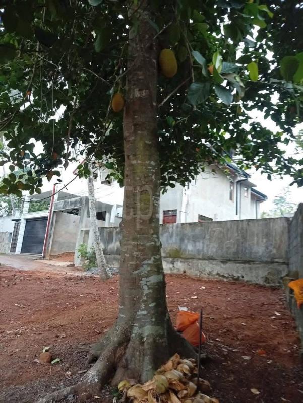 Residential Land for Sale in Kadawatha