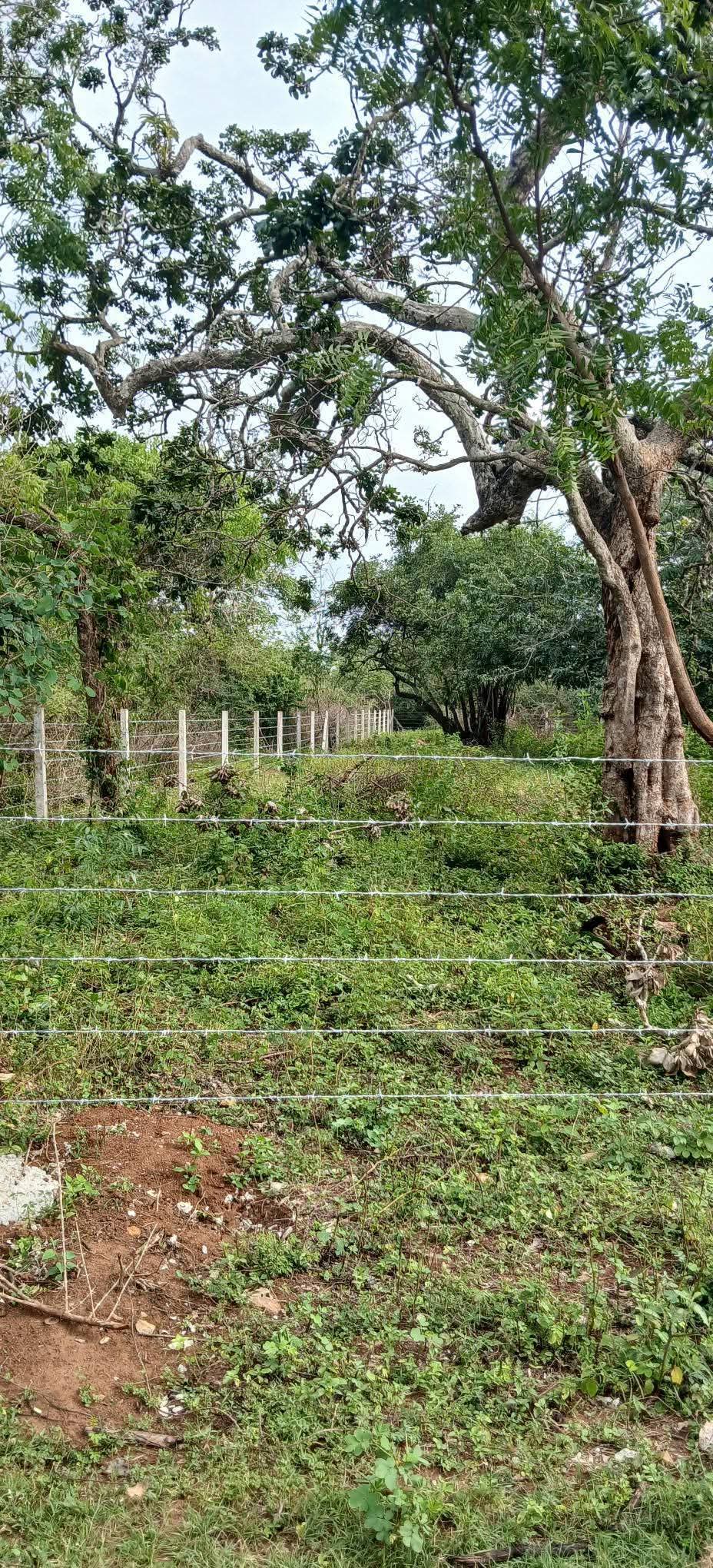 Residential Land for Sale in Kataragama