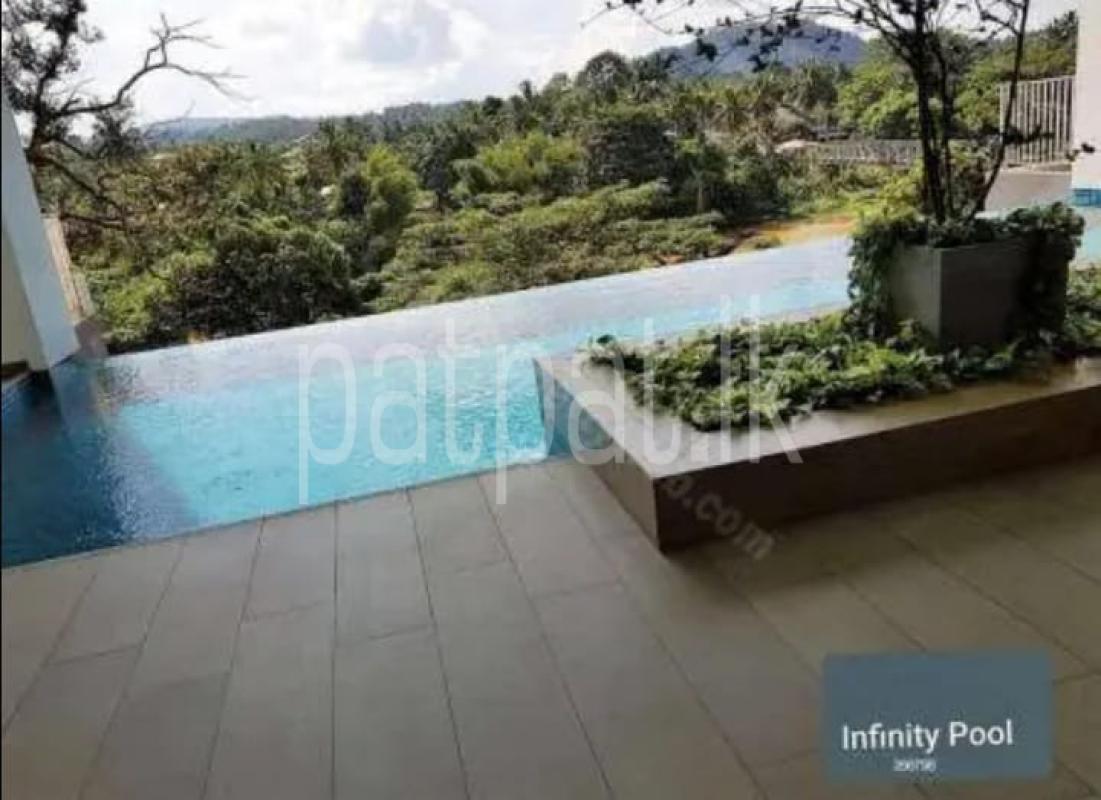 premium-listing-image