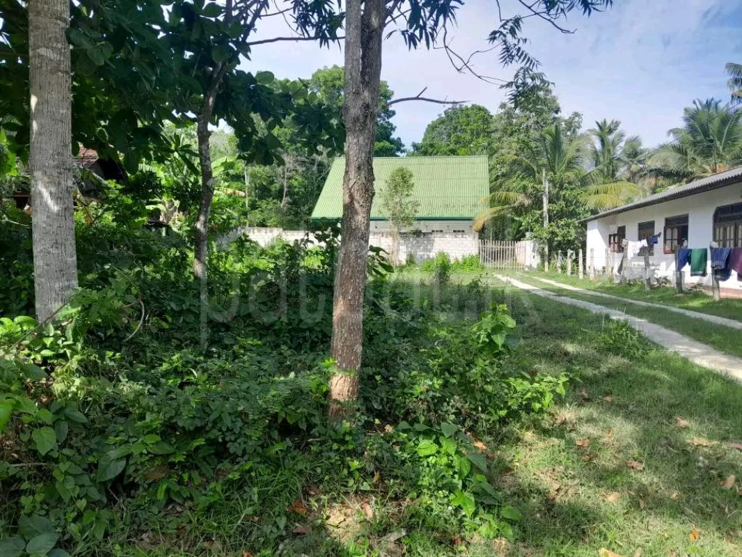 Agricultural Land for Sale in Maho