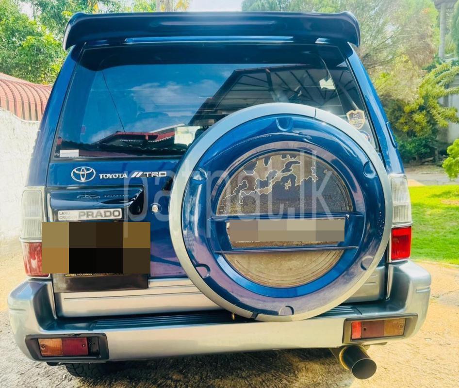 Advertisement image 6