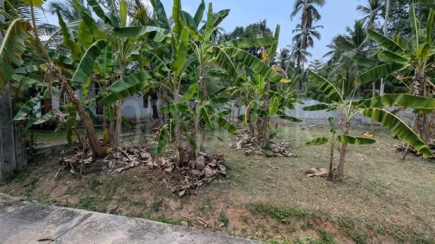 Residential Land for Sale in Yakkala