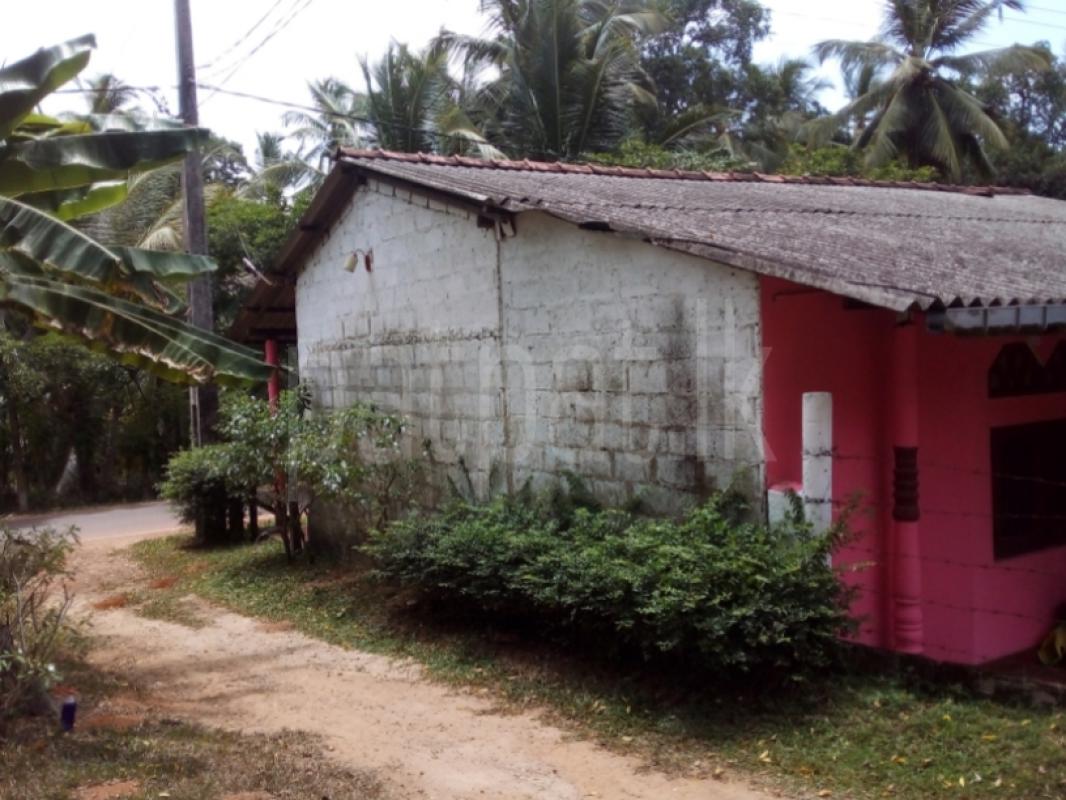 Advertisement image 1