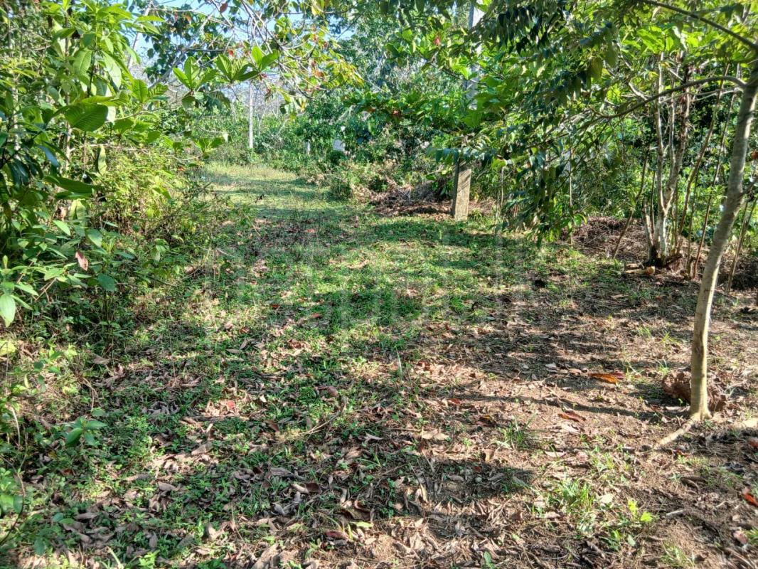 Residential Land for Sale in Kalutara