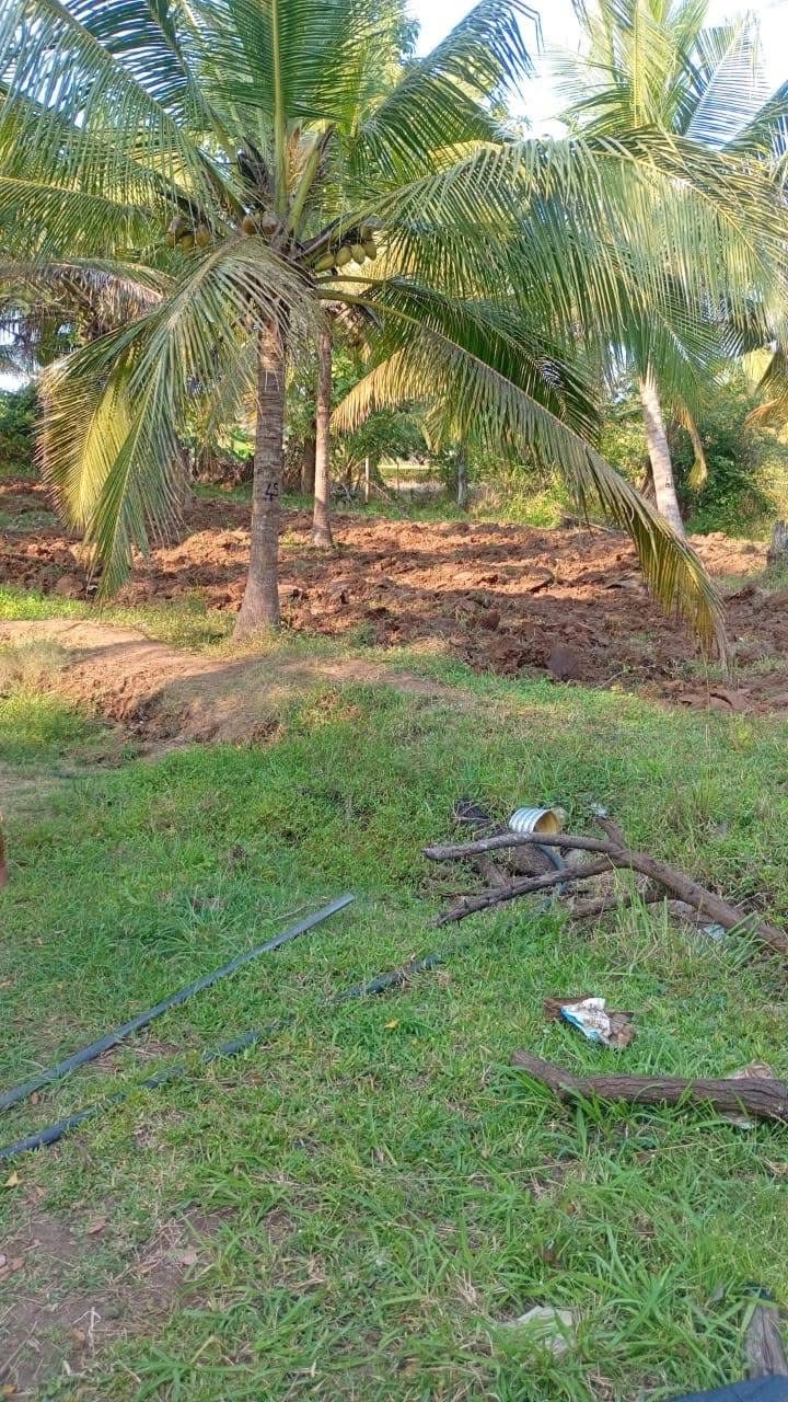Agricultural Land for Sale in Saliyapura ads-image-1