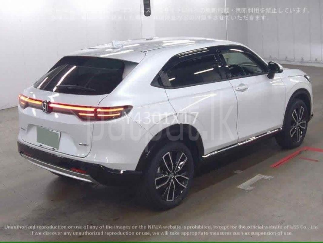 Advertisement image 4