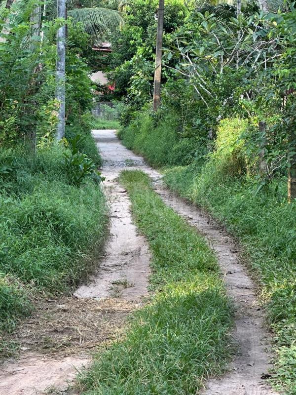 Residential Land for Sale in Minuwangoda