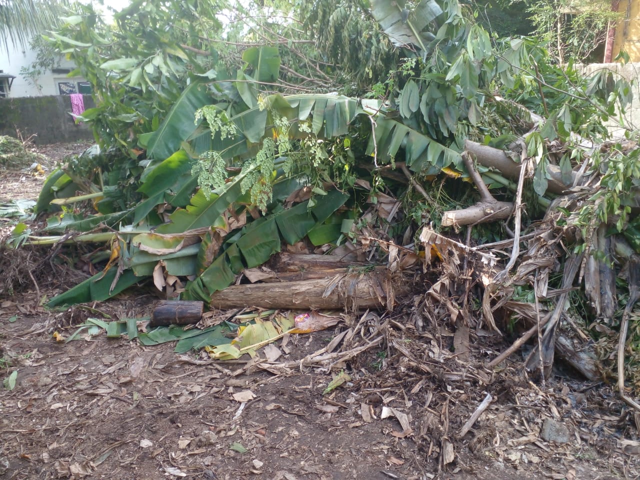 Residential Land for Sale in Ratmalana