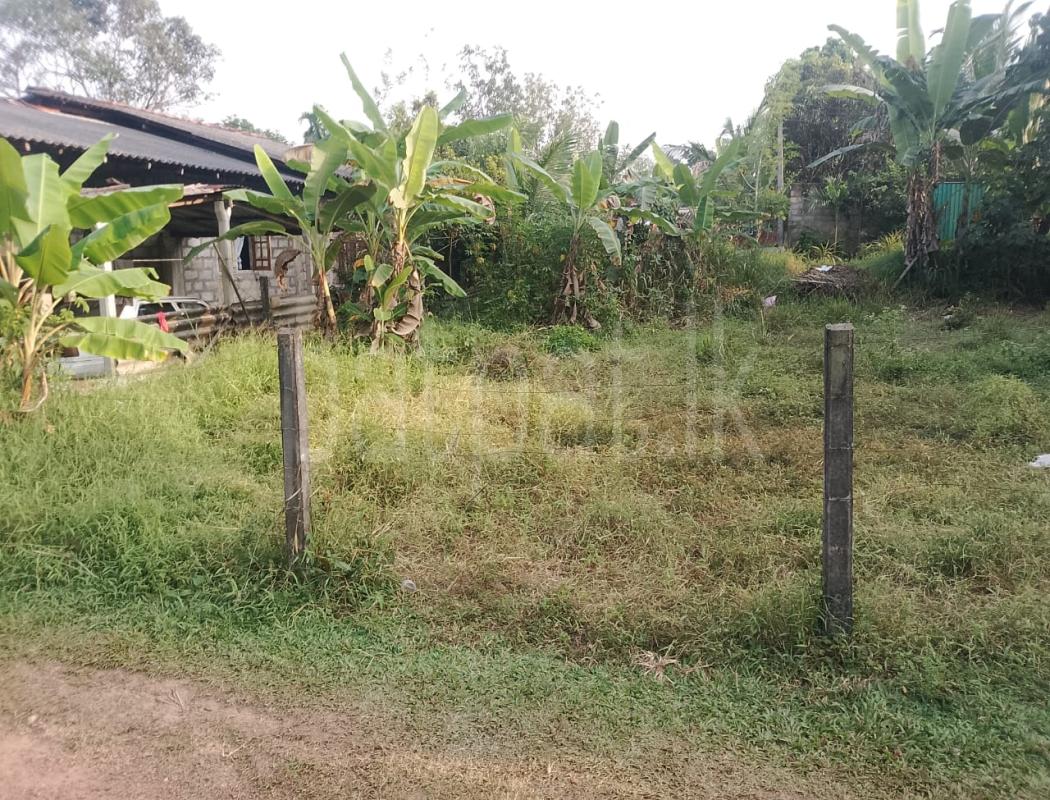 Residential Land for Sale in Kadawatha ads-image-1