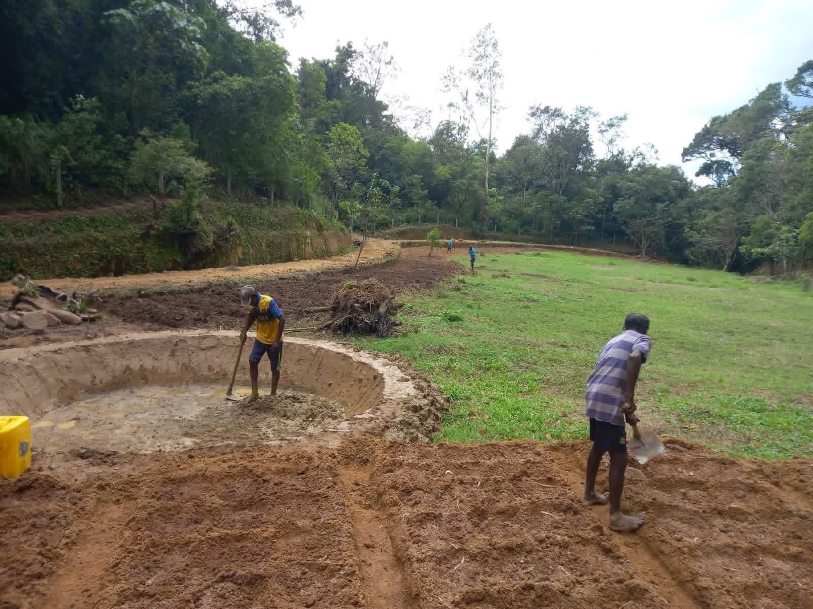 Agricultural Land for Sale in Belihuloya