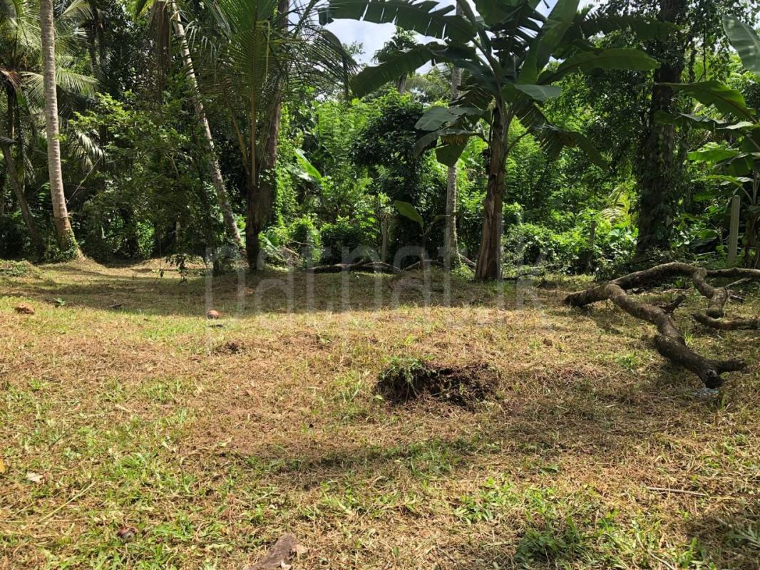 Residential Land for Sale in Minuwangoda