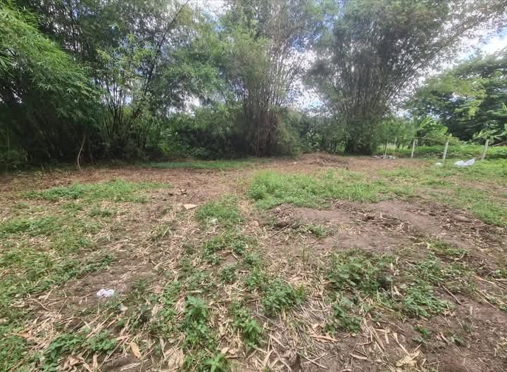 Commercial Land for Sale in Malabe
