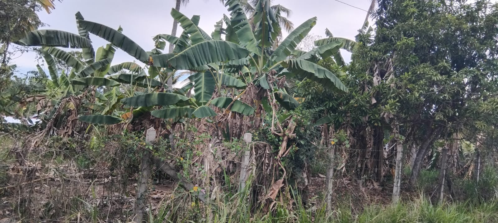 Residential Land for Sale in Katupota ads-image-1