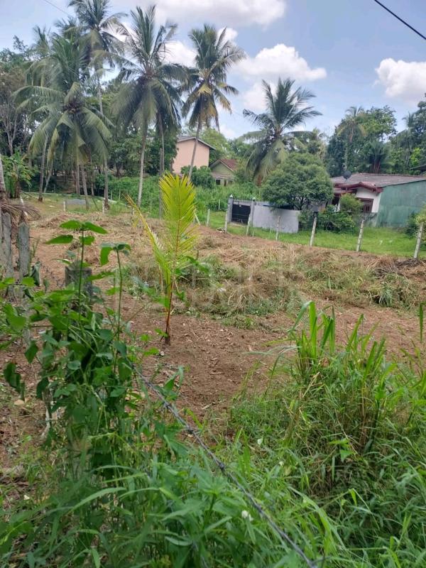 Residential Land for Sale in Mawathagama ads-image-1
