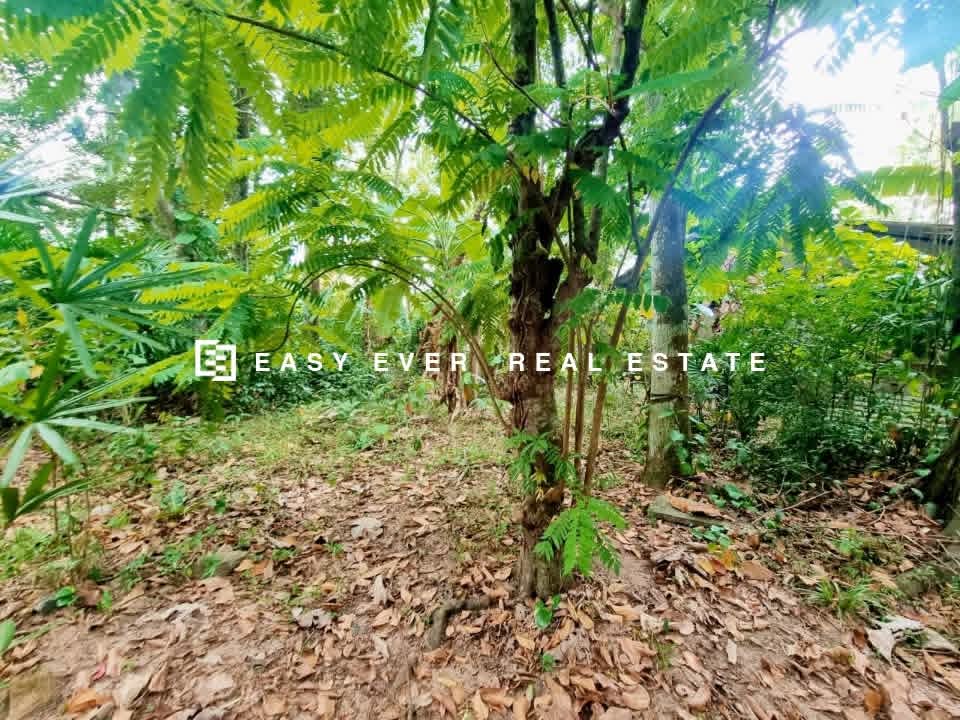 Residential Land for Sale in Veyangoda