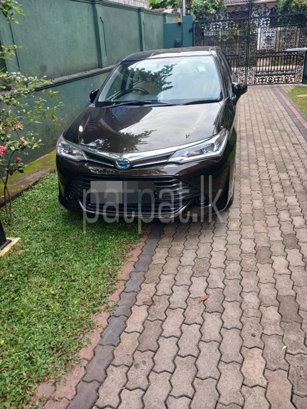 Advertisement image 1