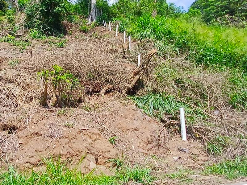 Commercial Land for Sale in Pilimatalawa