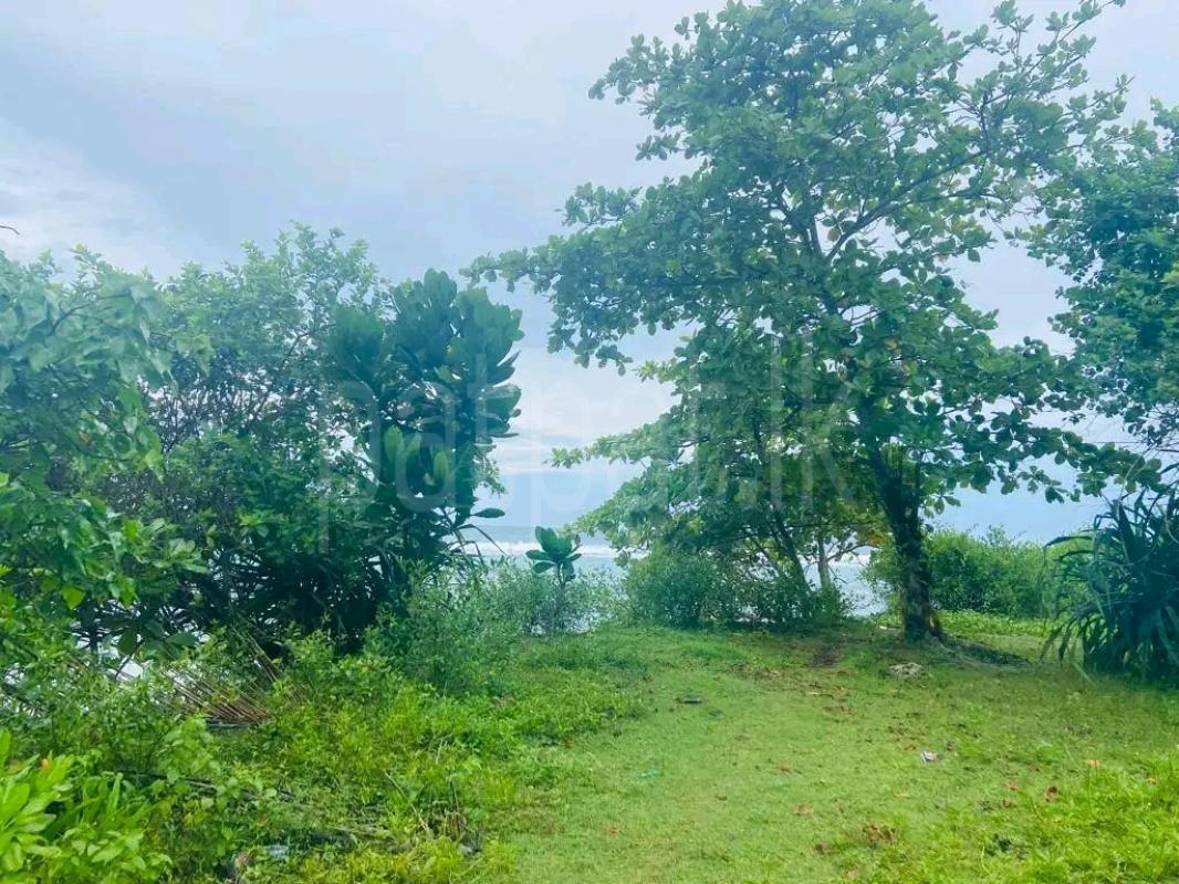 Agricultural Land for Sale in Ekala