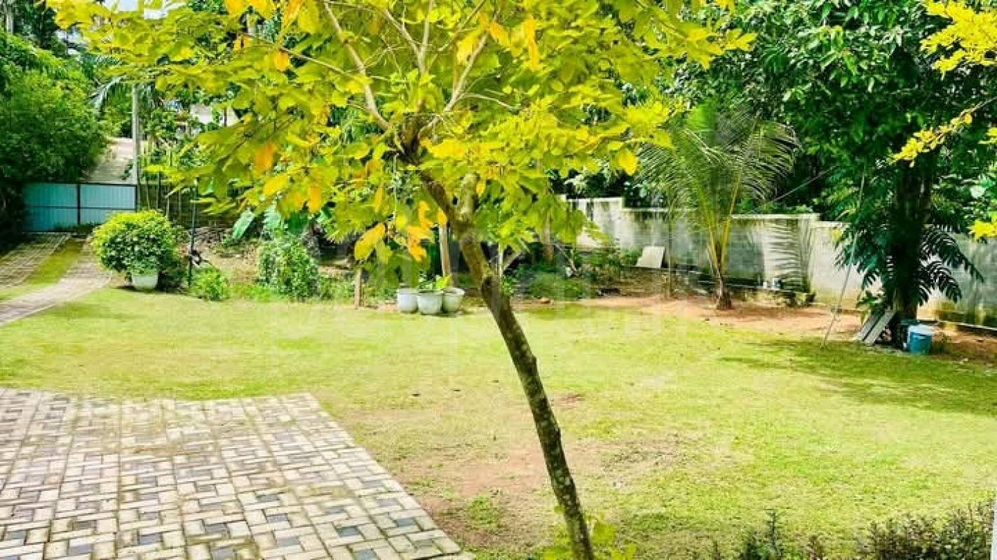 House for Sale in Kandana