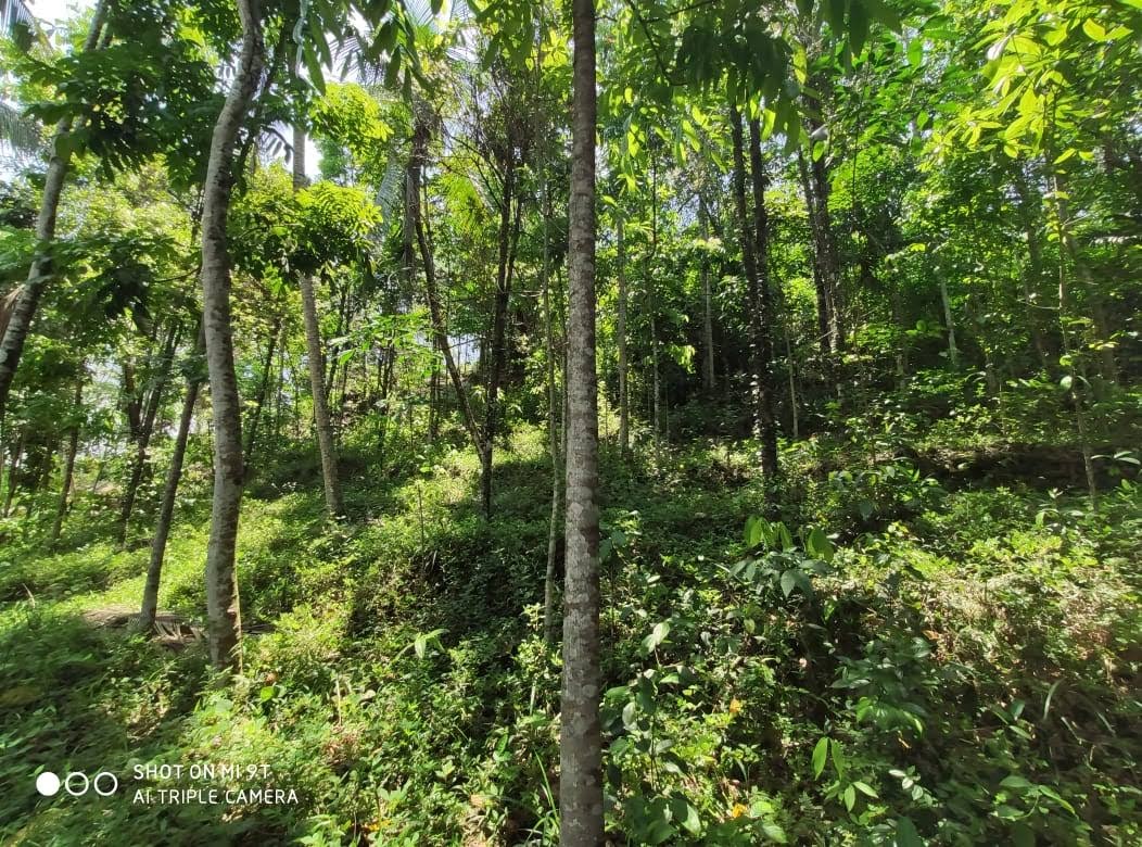 Commercial Land for Sale in Avissawella