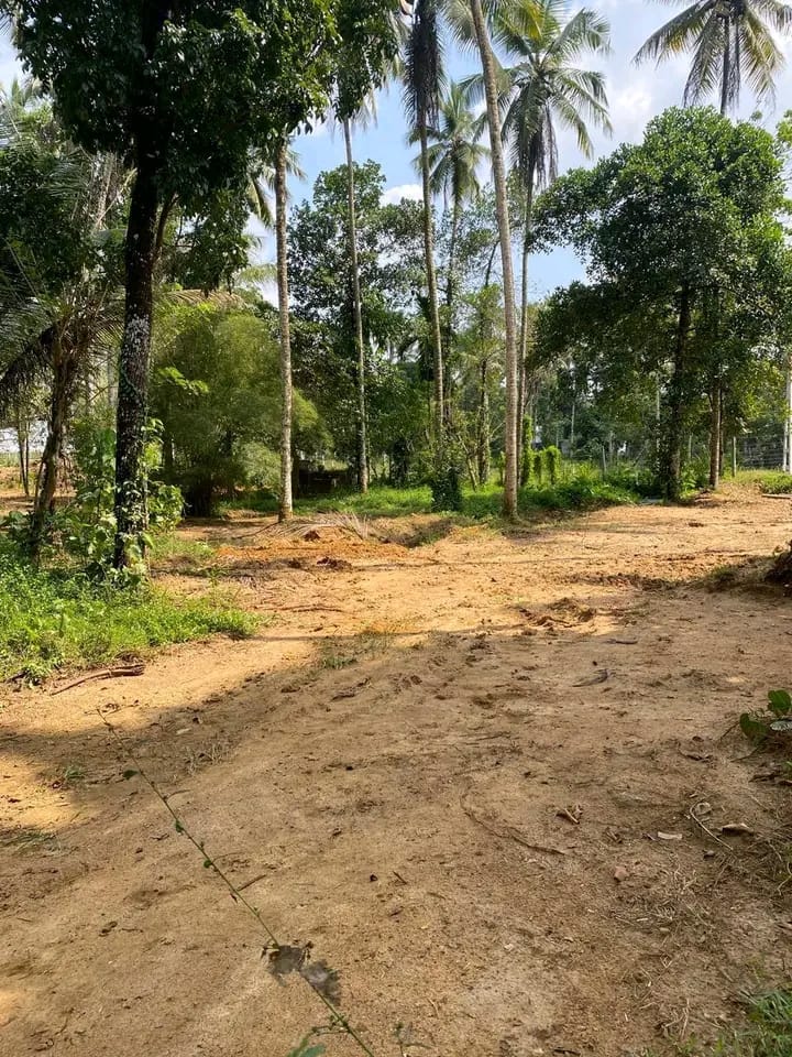 Commercial Land for Sale in Godagama