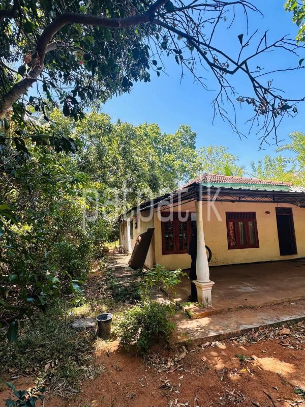 Residential Land for Sale in Kataragama