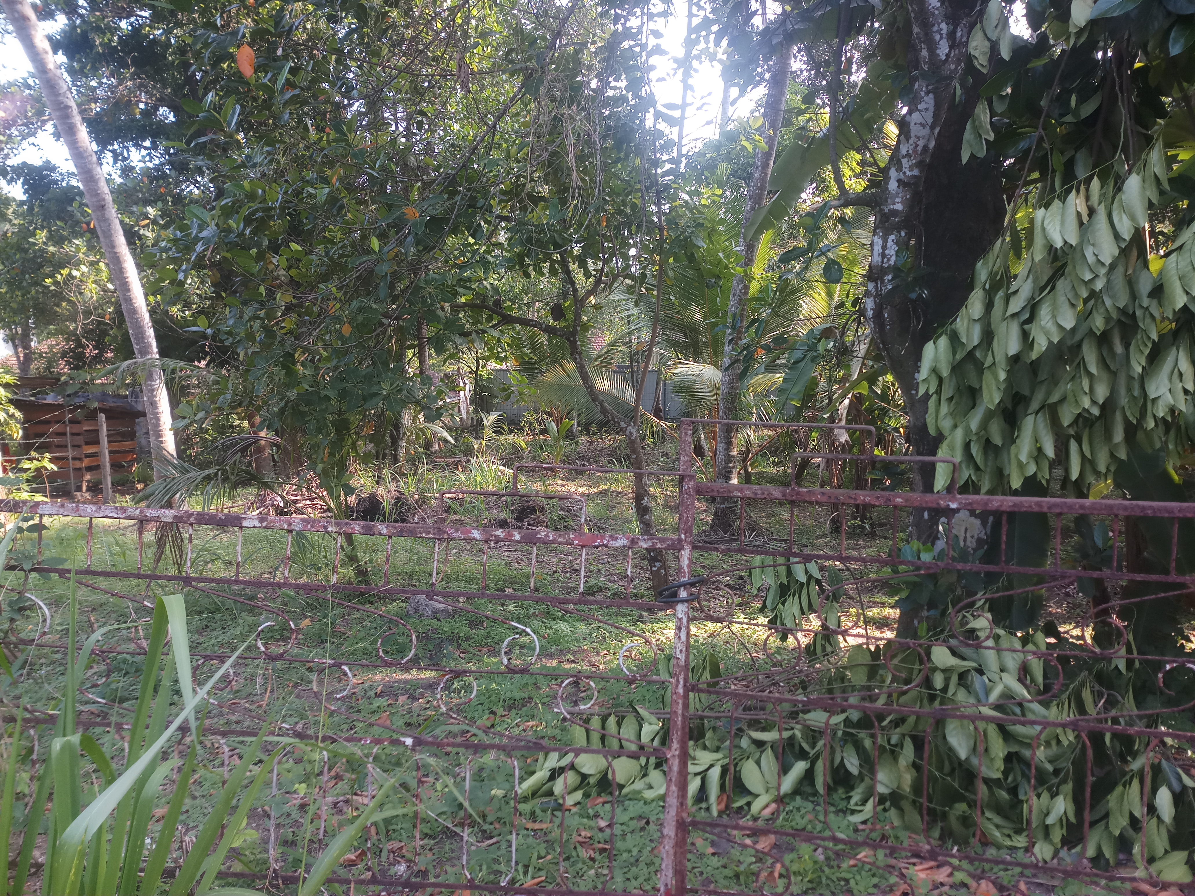 Residential Land for Sale in Yakkala
